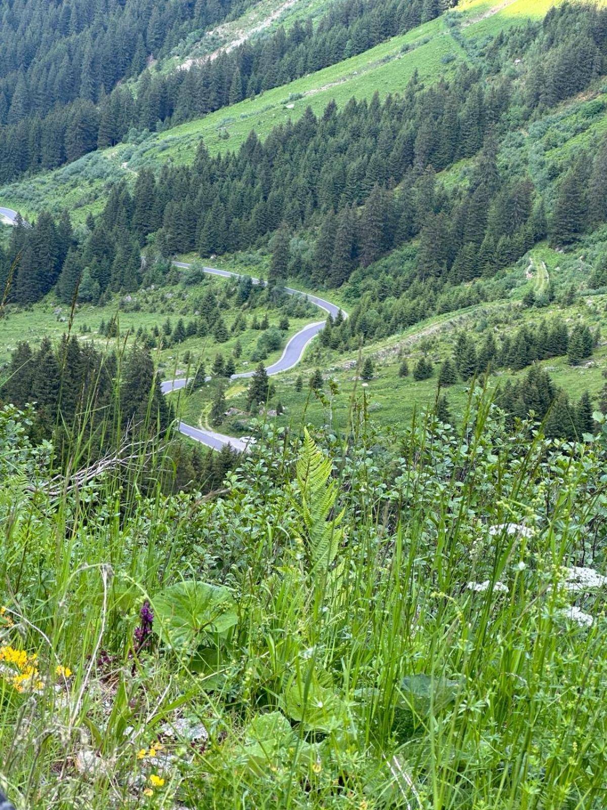 Apart Alpenpension Maderer Gaschurn Exteriér fotografie